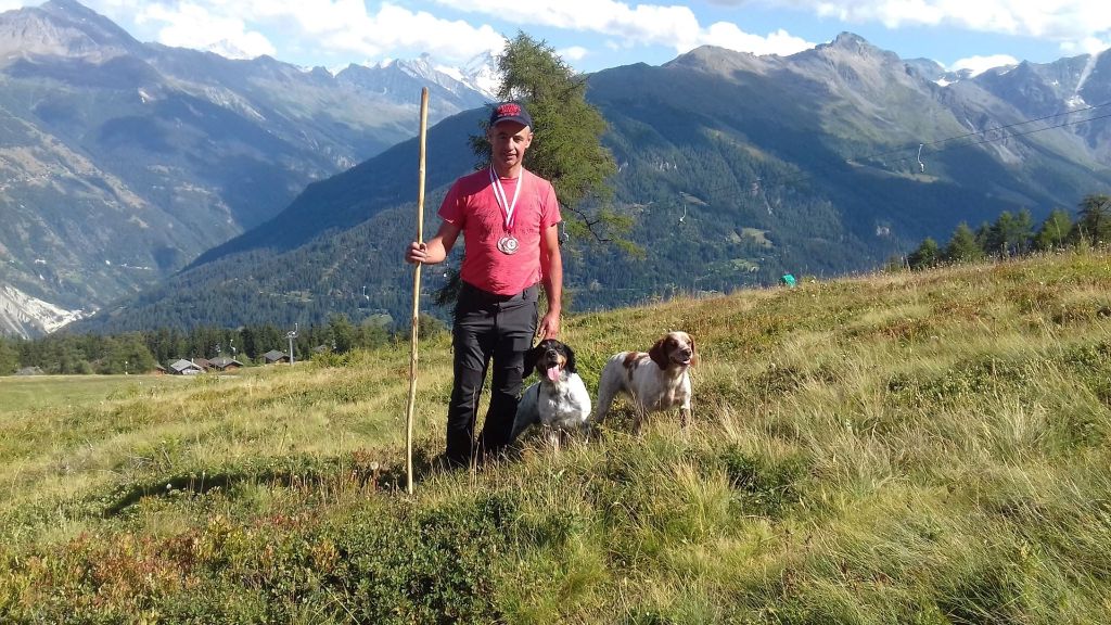 Des Sources De La Margeride - Field trial sur tétras lyre ( Suisse et France ) et lagopède