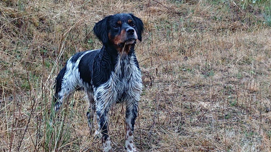 Ska Des Sources De La Margeride